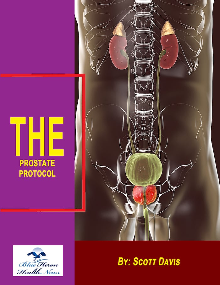 The Prostate Protocol 